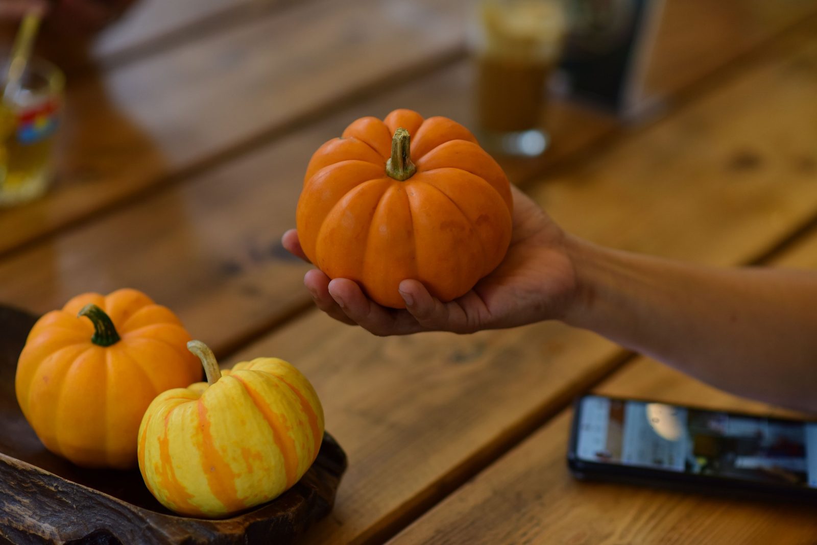 Halloween pumpkins
